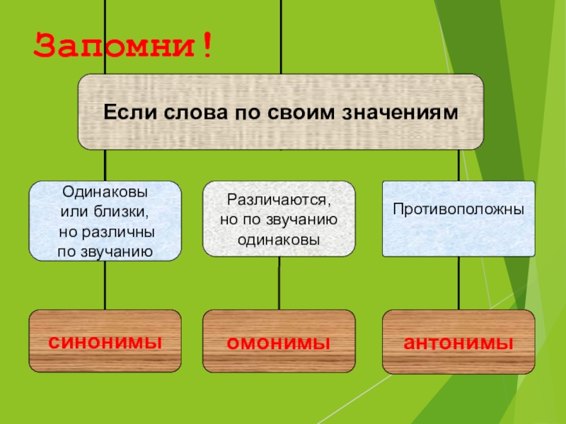 Омонимы в русском языке презентация 5 класс