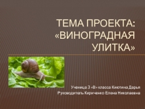 ПРОЕКТНАЯ РАБОТА ВИНОГРАДНАЯ УЛИТКА