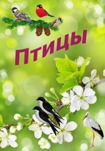 Презентация по окружающиму миру на тему Зимующие и перелентые птицы