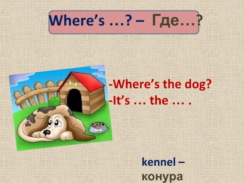 Where’s …? – Где…? Where’s the dog?It’s … the … . kennel – конура