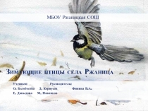 Презентация к проекту Зимующие птицы села Ржаница