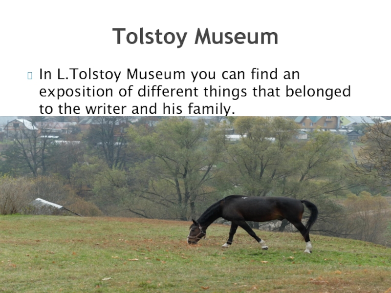 In L.Tolstoy Museum you can find an exposition of different things that belonged to the writer and