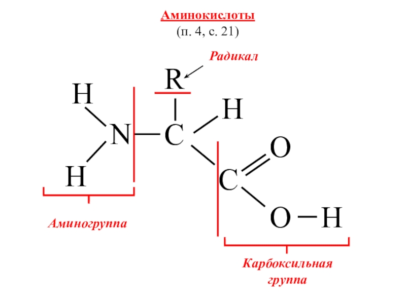 Аминокислоты аминогруппа карбоксильная группа. Радикал аминокислоты карбоксильная. Аминогруппа радикал карбоксильная группа. Аминогруппа группа формула. Радикалы аминокислот.