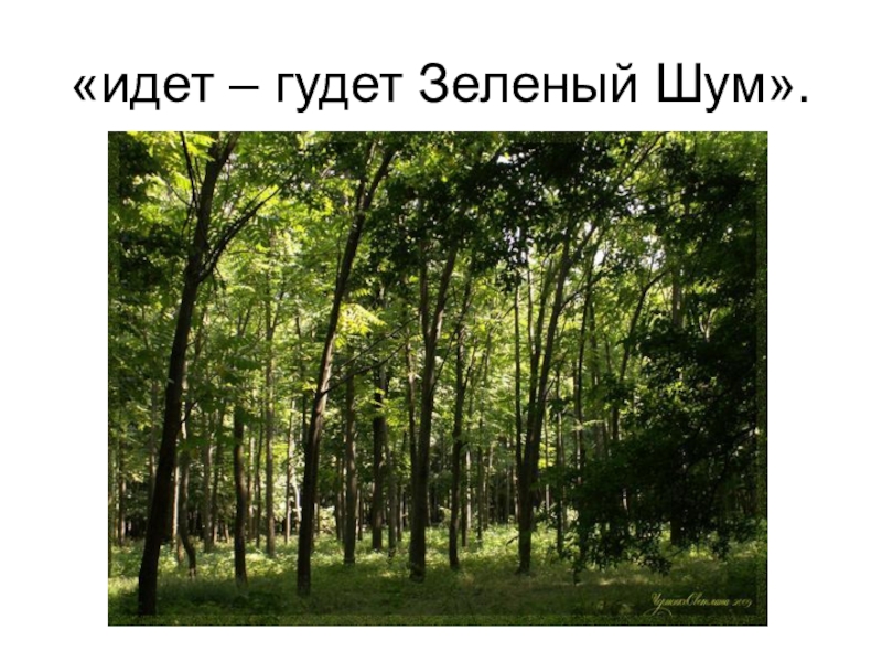 Зеленый шуметь. Идет гудет зеленый шум Некрасов. «Идет-гудет зеленый шум Некрасова. Идёт гудёт зелёный шум зелёный шум. Стих идет гудет зеленый шум.