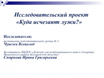 Презентация Исследовательский проект Куда исчезают лужи?