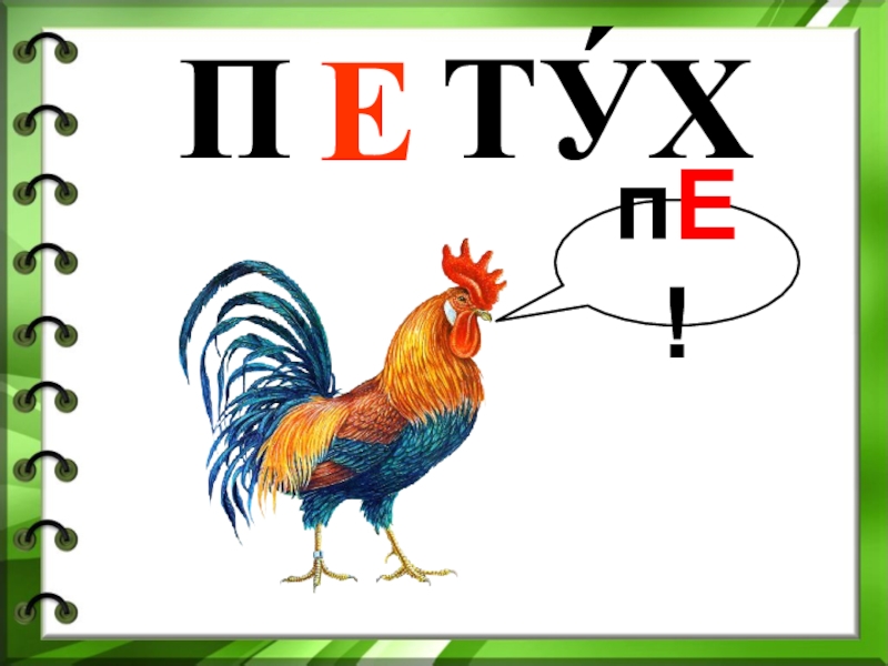 Слово петух звуки