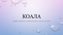 Презентация по биологии на тему: Отряд сумчатые. Коала (7 класс)