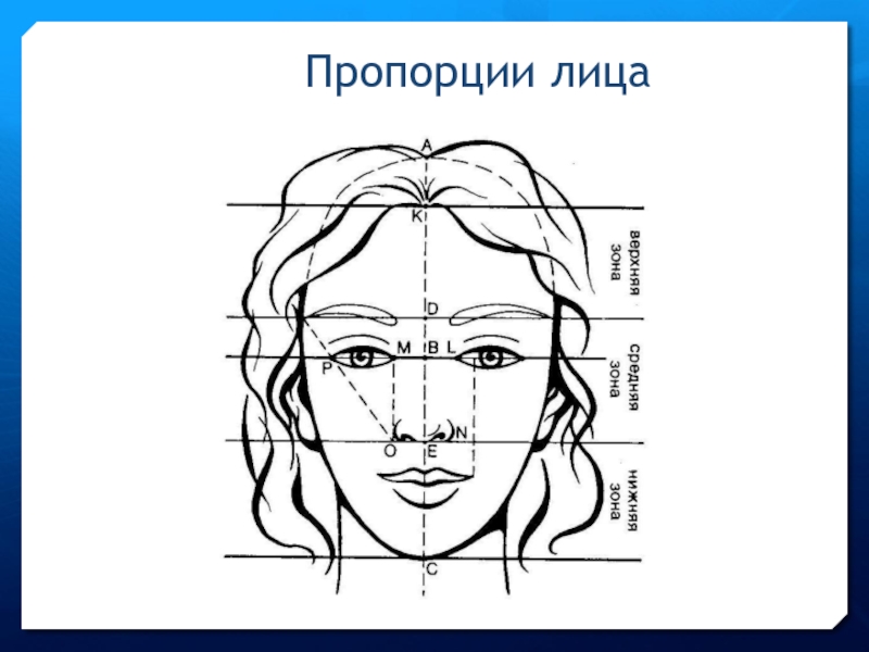 Презентация по изо 3 класс картина портрет