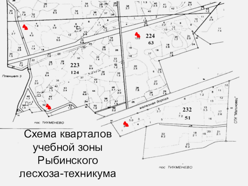 Карта тихменево рыбинский район