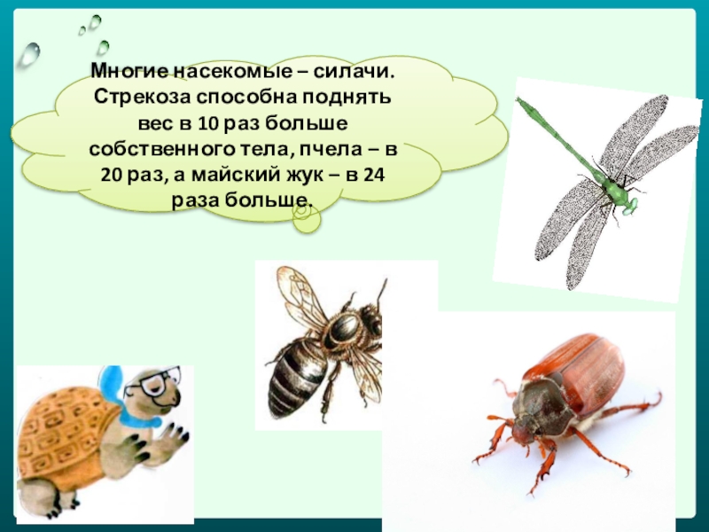 Что такое насекомые 1 класс презентация школа россии