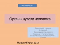 Презентация по биологии на тему Органы чувств человека
