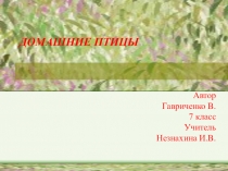 Презентация по биологии Домашние птицы посёлка