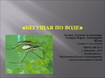 Проект на тему: Бегущая по воде