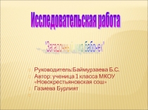 Загадочный мир бабочек