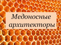 Проектная деятельность учащихся. Проект Медоносные архитекторы выполнила ученица 11 В класса Холод Дарья