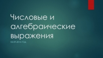 1. Числовые и алгебраические выражения (7 класс, АЛГЕБРА)