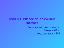 Презентация по обучению грамоте на тему Какой? Какая? (1 класс)