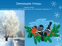 Презентация для детей старшего дошкольного возраста. Тема Зимующие птицы.