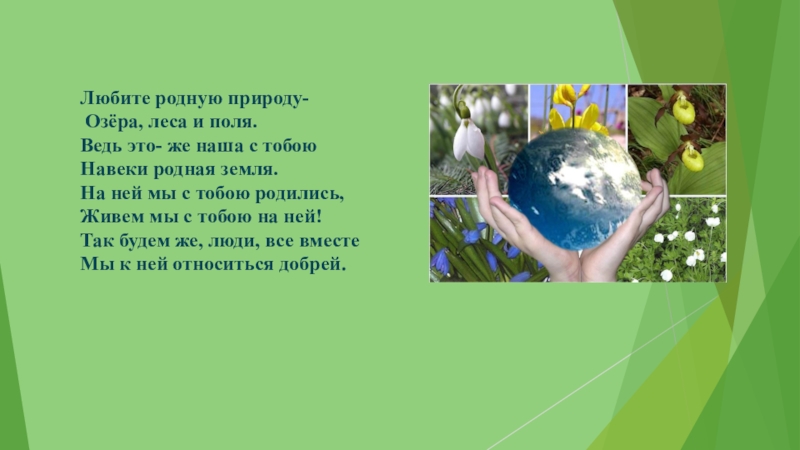 Любите родную природу. Стих любите родную природу. Автор стиха любите родную природу. Любите родную природу озера леса и поля Автор стихотворения.