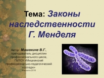 Презентация к открытому занятию по теме Законы наследственности Г. Менделя