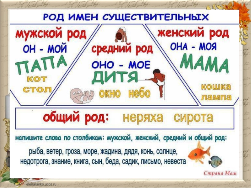 Памятка существительное. Памятка род имен существительных. Род и число имен существительных. Памятка по существительному. Существительное как часть речи.