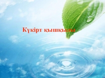 Химия сабағына таныстырылым тақырыбы: Күкірт қышқылы (9 сынып)