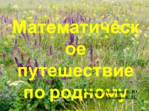 Математическое путешествие по родному краю