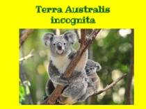 Презентация по английскому языку на тему Australia