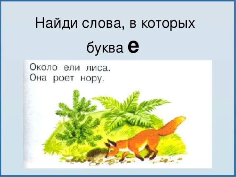 Звуковая схема слова енот