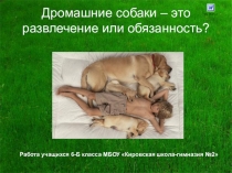 Проект по биологии 6 класс Домашние собаки - это развлечение или обязанность?