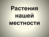 Презентация по биологии Растения нашей местности