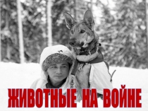 Презентация Животные на ВОВ