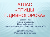 Презентация - виртуальный атлас Видовое разнообразие и кормовое поведение птиц г. Дивногорска