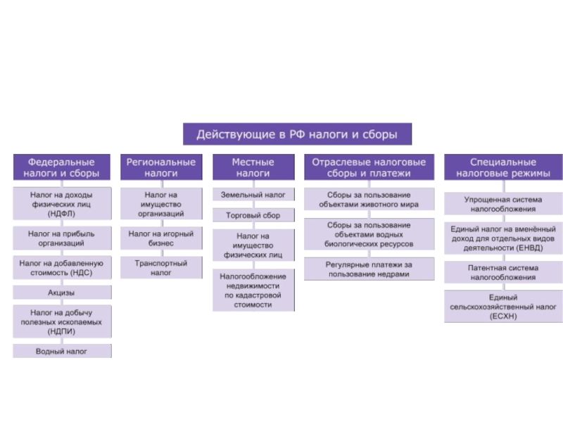 Какие есть действующие. Виды налогов и сборов в РФ. Система налогов и сборов в РФ таблица. Структура налогов РФ 2019. Система налогов и сборов в РФ схема.