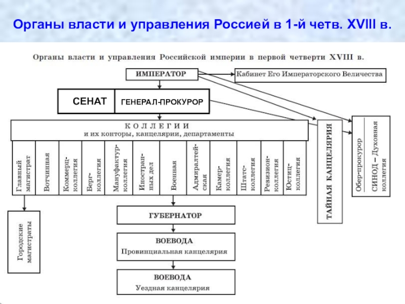 Схема государственного управления при петре 1