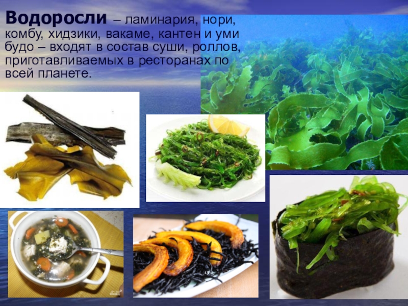 Морская капуста комбу рецепты