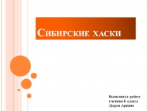 Презентация индивидуального проектаСИБИРКИЕ ХАСКИ