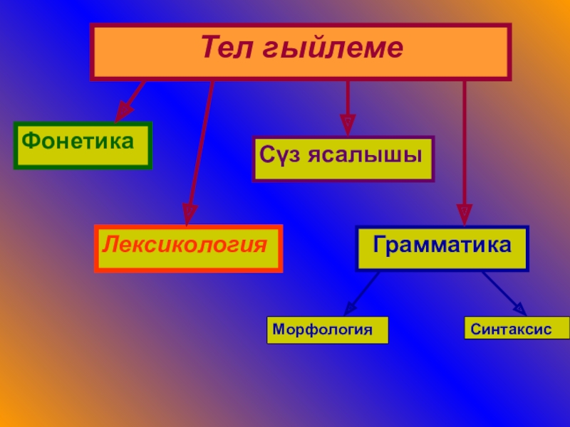 Фонетика лексикология