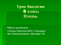 Презентация по биологии на тему: Плоды ( 6 класс)
