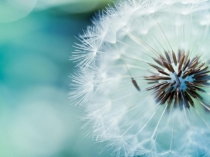 Презентация для урока математики . Устный счет .