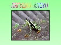 В. Гаршин  Лягушка -путешественница Урок литературного чтения в 3-м классе по сказке В.М. Гаршина Лягушка–путешественница (2 ч.)