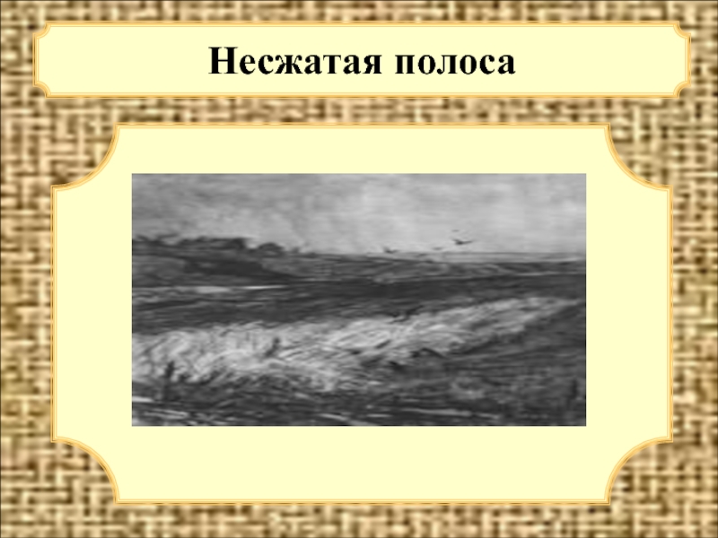 Анализ стихотворения несжатая полоса