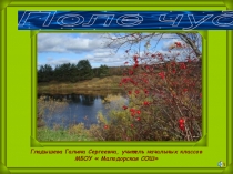 Поле чудес Мой Север, мой Устьянский край