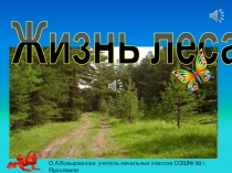 Презентация по окружающему миру на тему: Жизнь леса