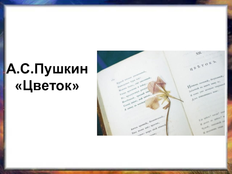 Анализ стихотворения пушкина цветок. Александр Пушкин стих цветок. Стих Александра Пушкина цветок. Александр Сергеевич Пушкин стих цветок. Стихотворение Пушкина цветок засохший.