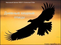 Презентация по биологии на тему Дневные хищные птицы (7 класс)