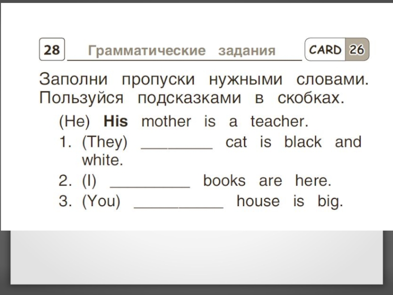 Притяжательные и абсолютные местоимения в английском языке презентация