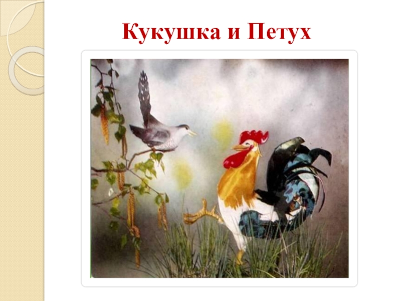 Кукушка и петух. Иван Крылов Кукушка и петух басня. Басня Ивана Крылова Кукушка и петух. Крылов Кукушка и петух басня. Иван Андреевич Крылов Кукушка и петух.