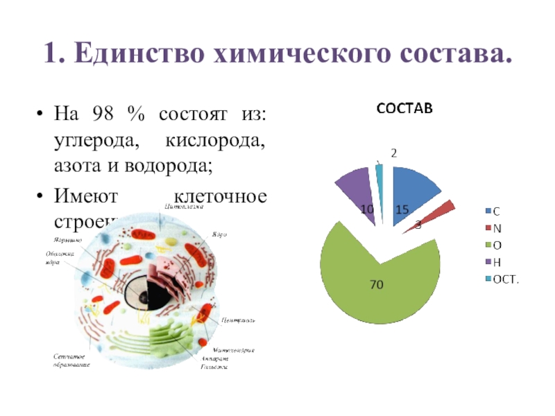 Химический состав живого организма вещества