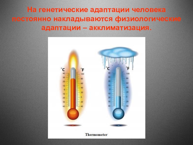 Адаптация человека это. Адаптация человека. Физиологическая адаптация человека. Генетическая адаптация человека. Адаптация человека к изменению температурных условий.